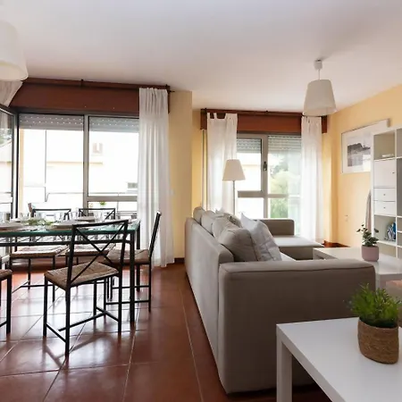 Fgdr343g El Chiringuito